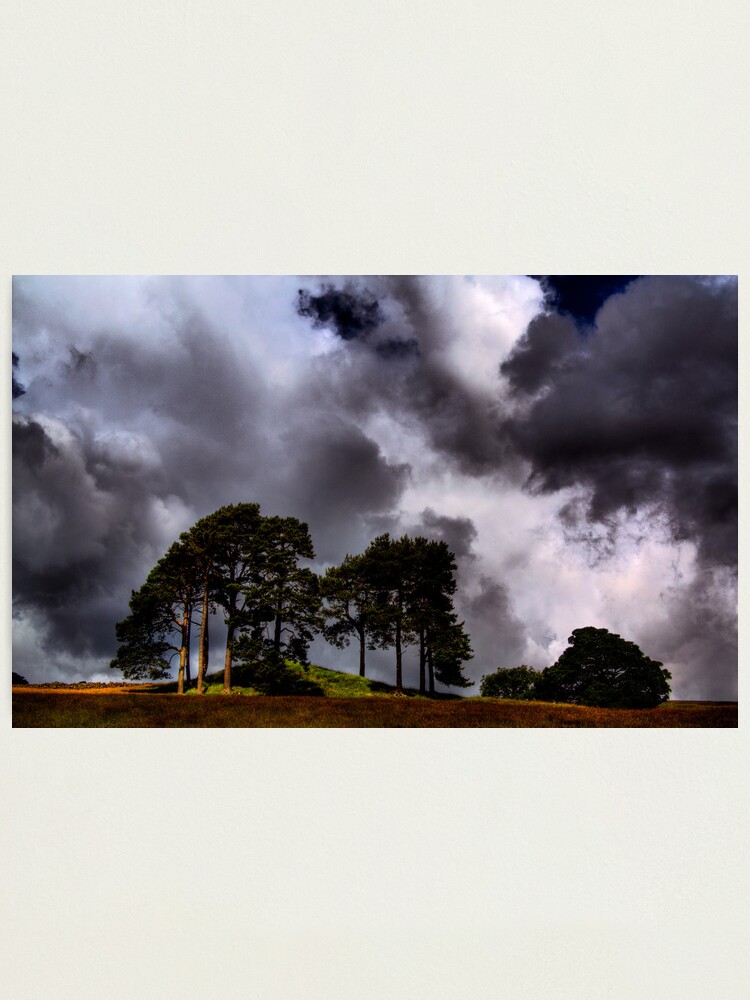 Alternate view of The Lonesome Pines Photographic Print