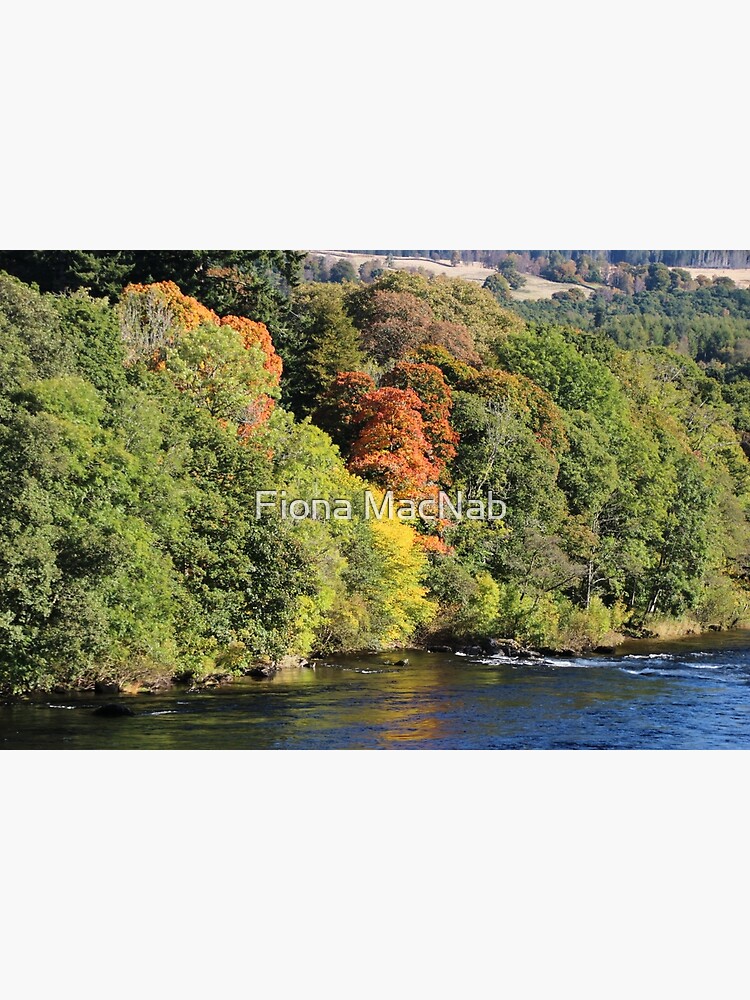 Gilmpses of autumn by orcadia