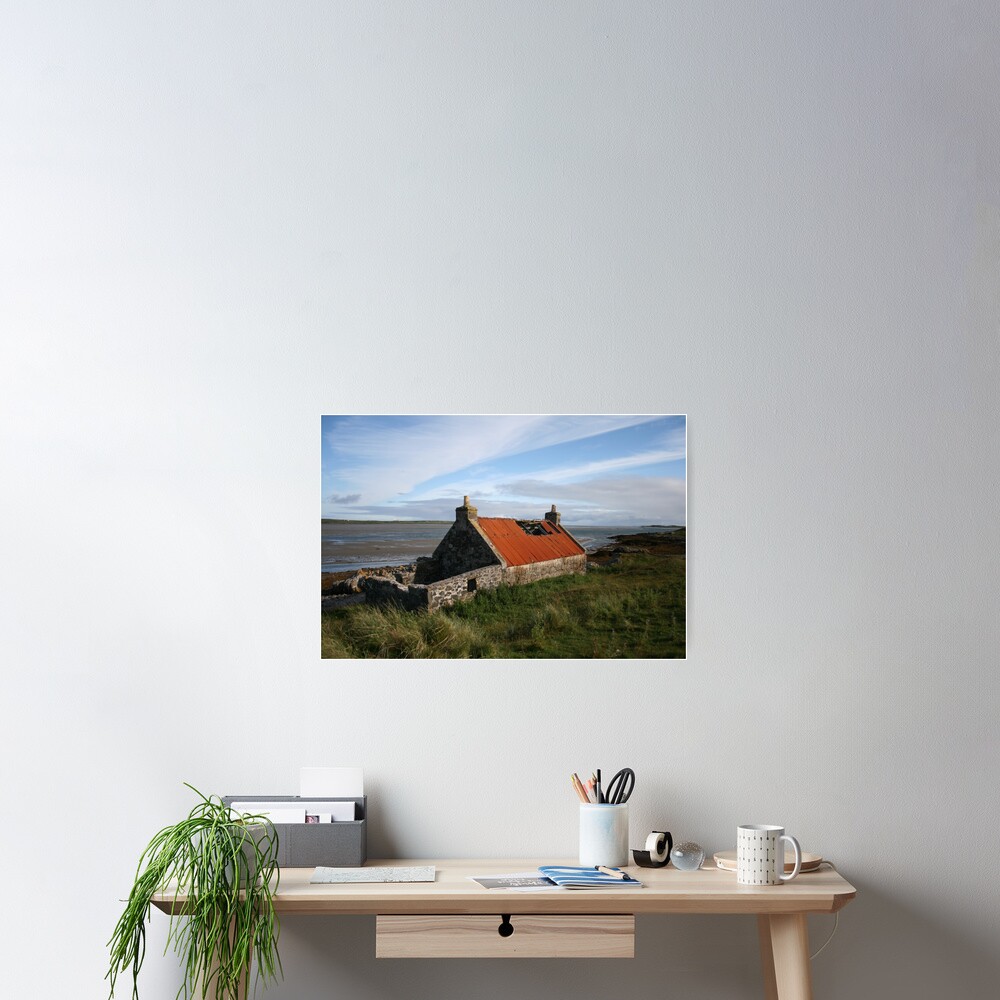 Rusty roof Poster