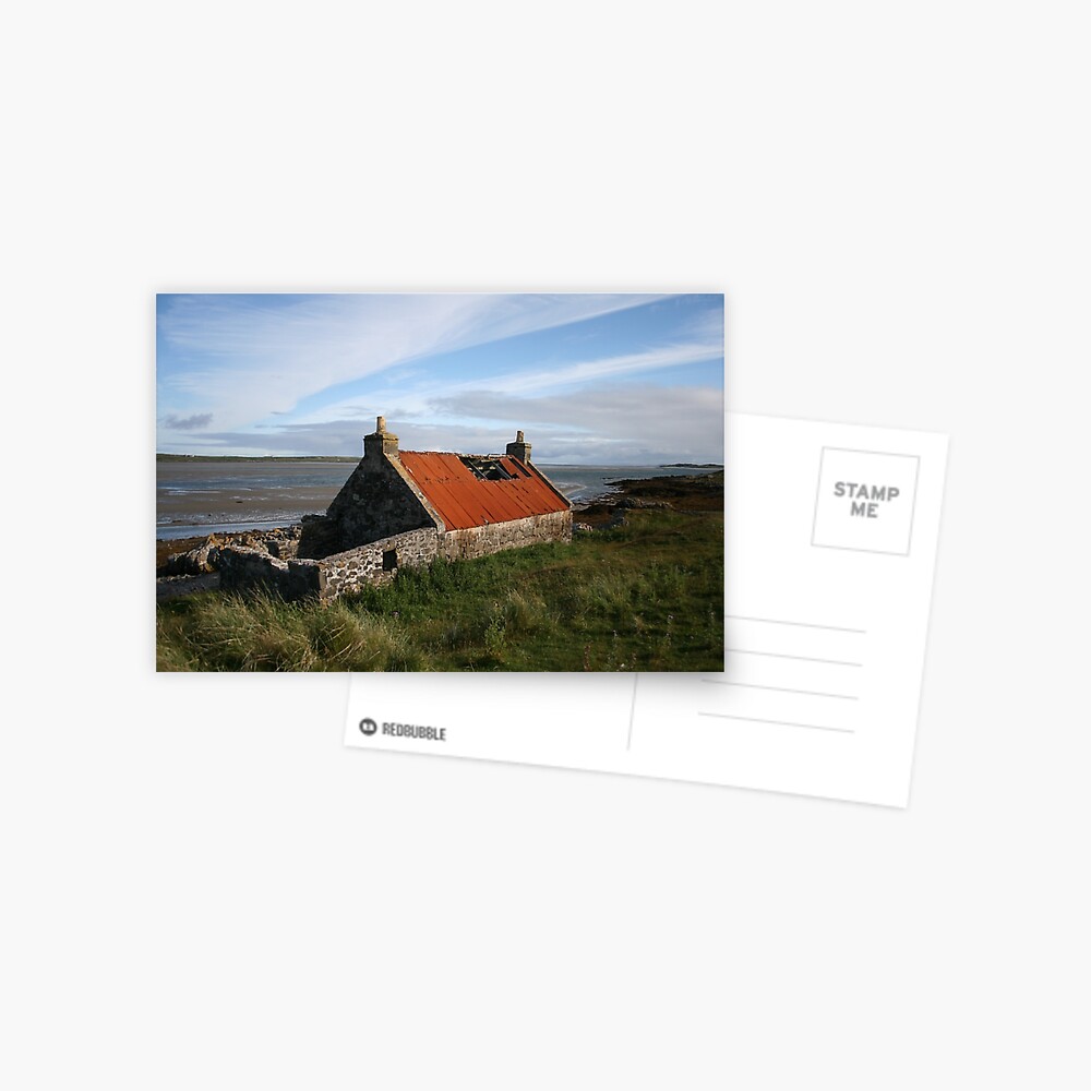 Rusty roof Postcard