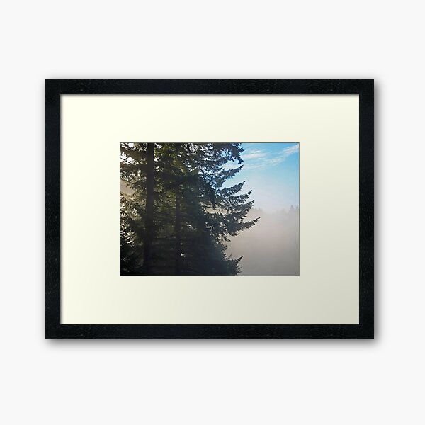 fir trees waking Framed Art Print