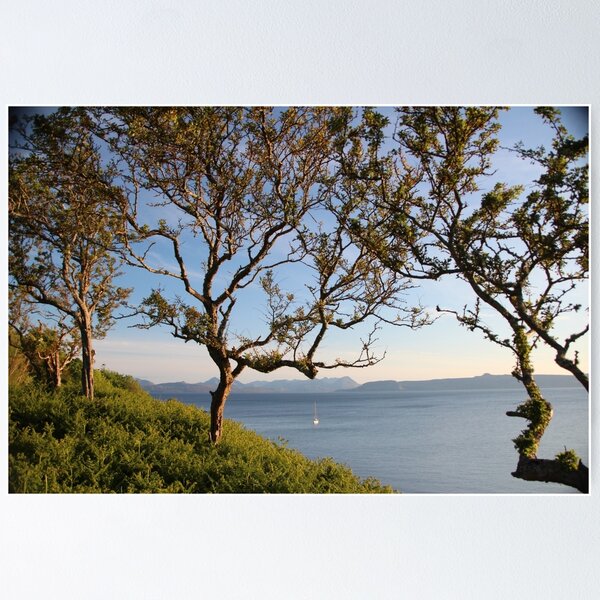 Item preview, Skye from Applecross designed and sold by Fiona MacNab.