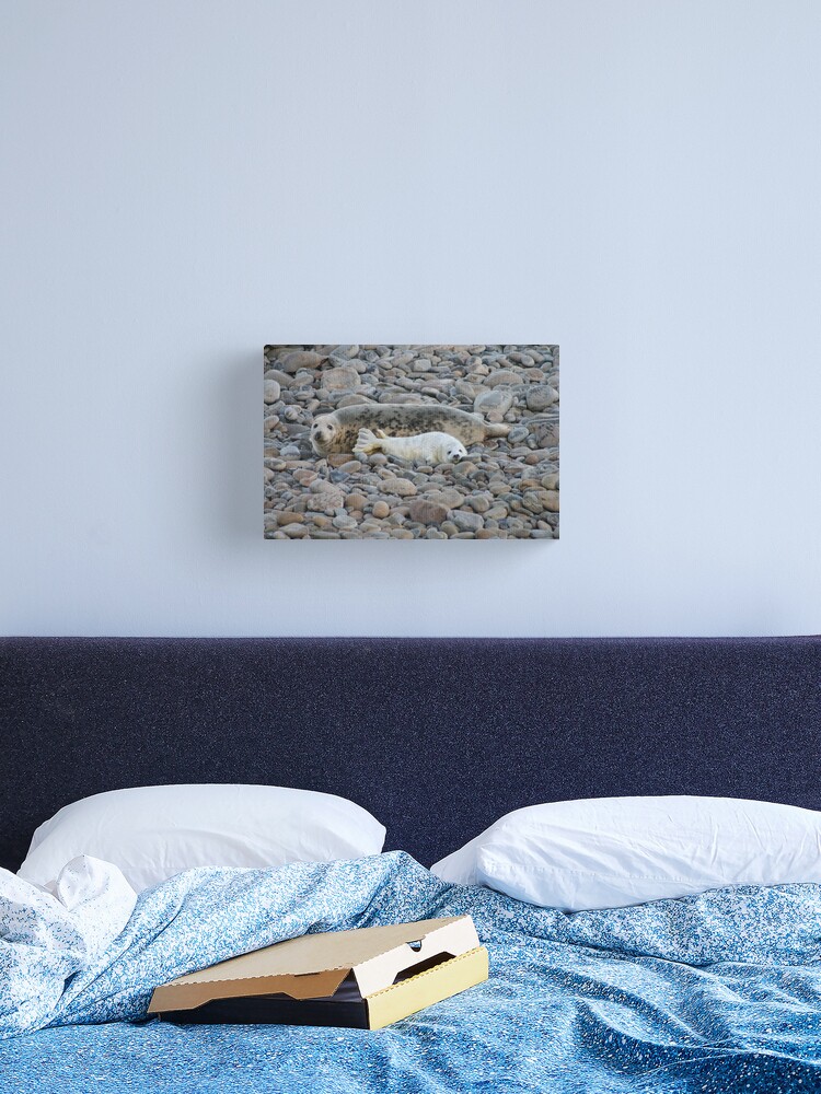 Thumbnail 2 of 3, Canvas Print, Grey seal & pup designed and sold by orcadia.