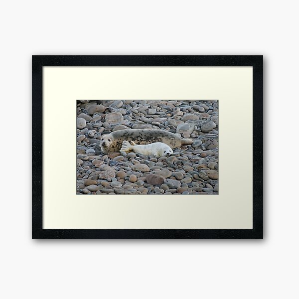 Framed Art Print