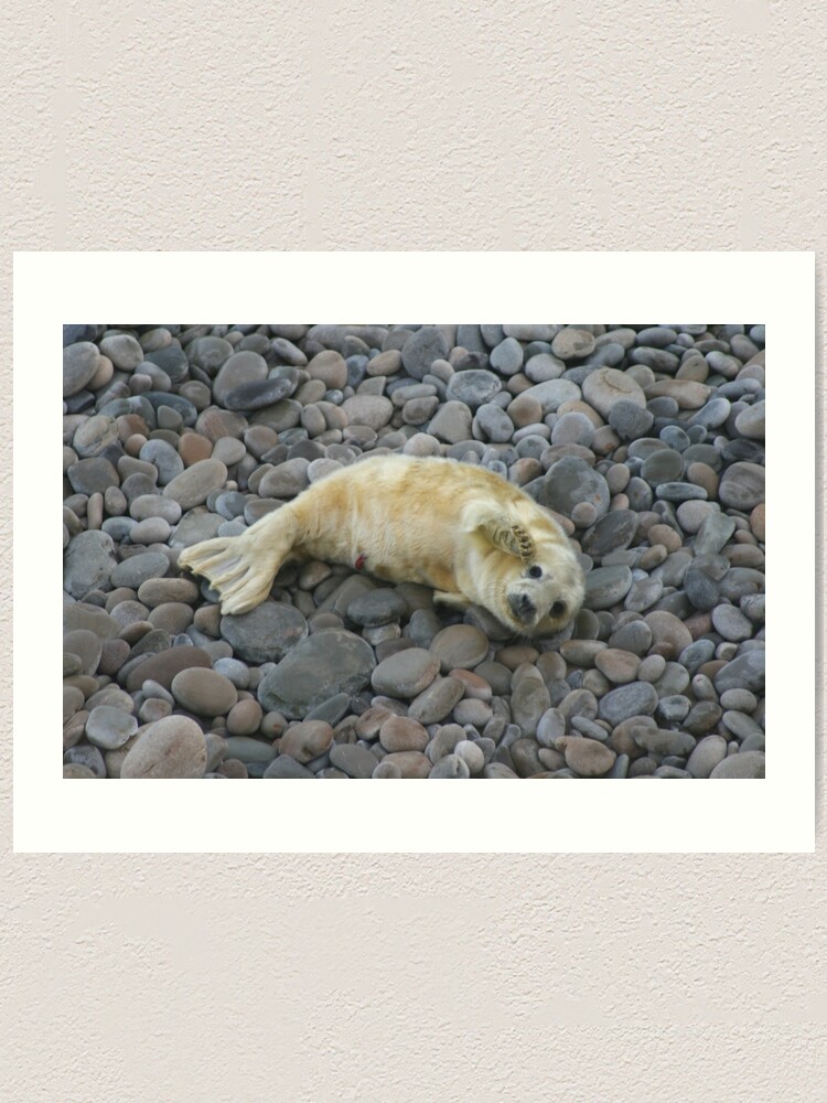Alternate view of Hi there Art Print