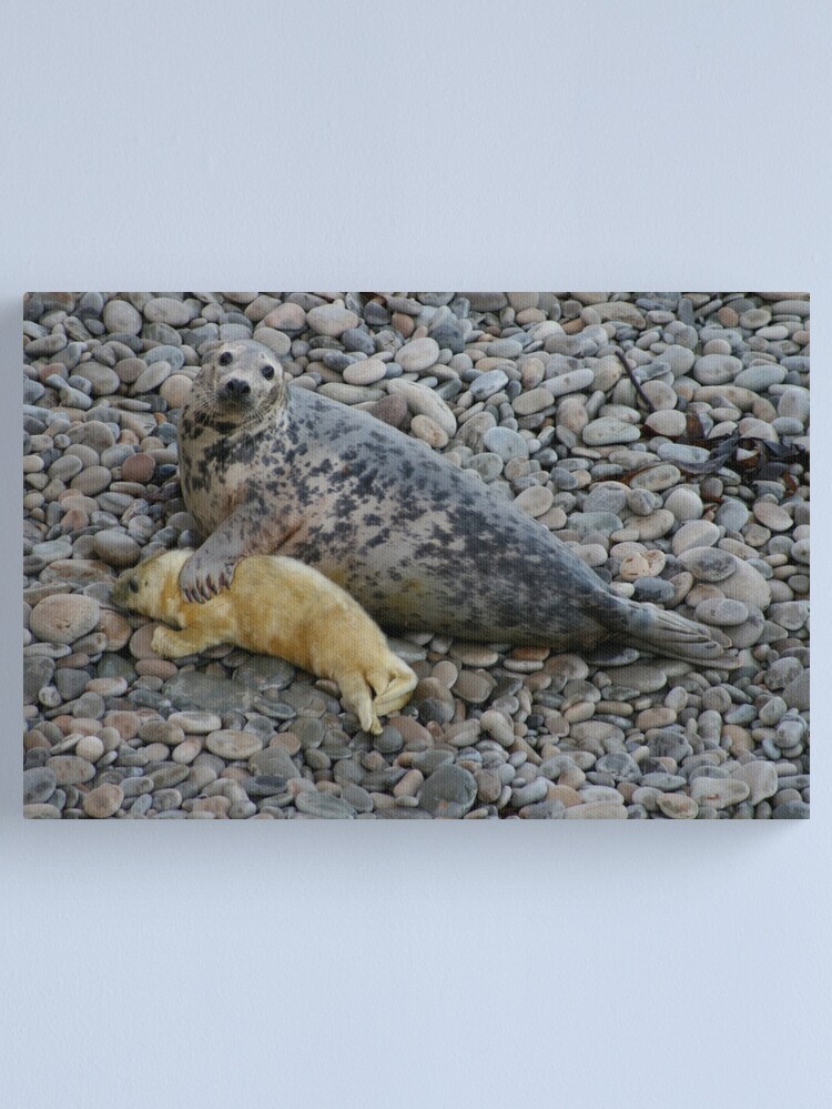 Alternate view of Mother Love II Canvas Print
