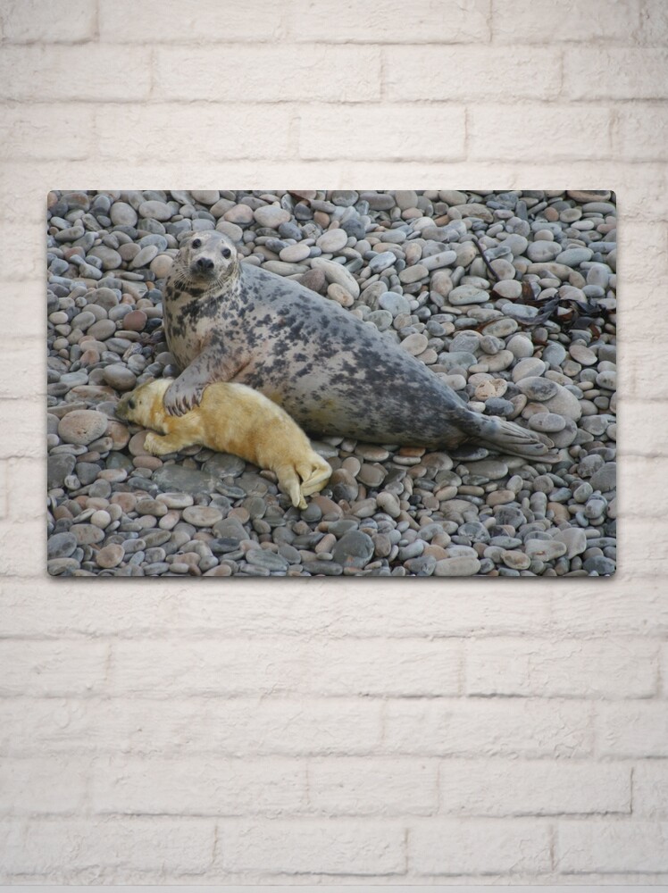 Alternate view of Mother Love II Metal Print