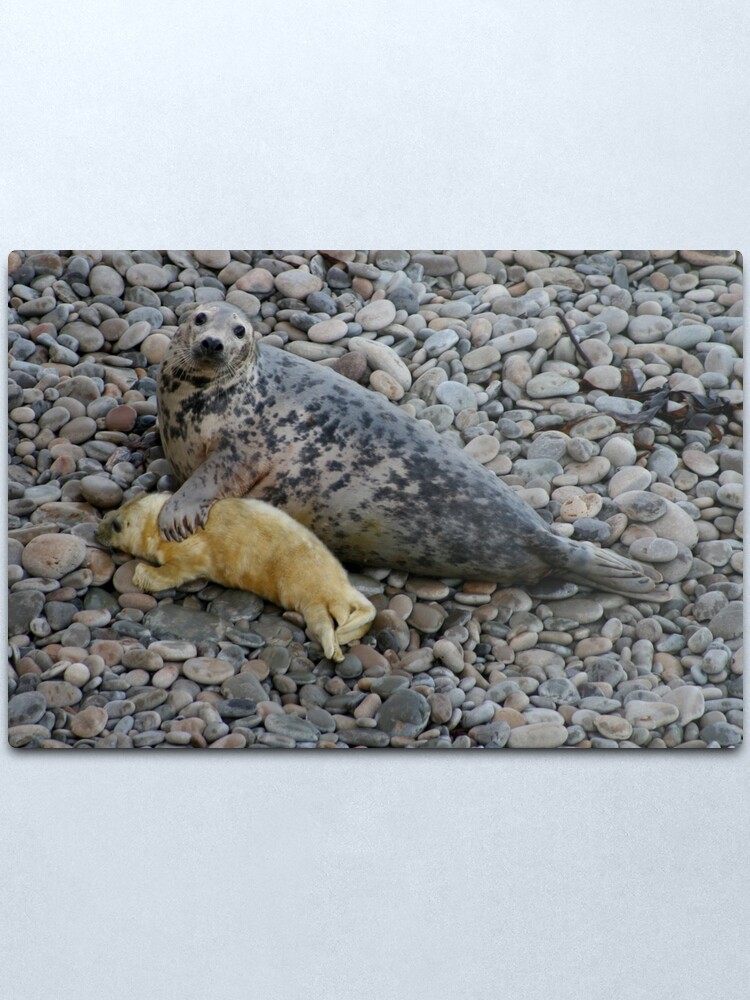 Alternate view of Mother Love II Metal Print