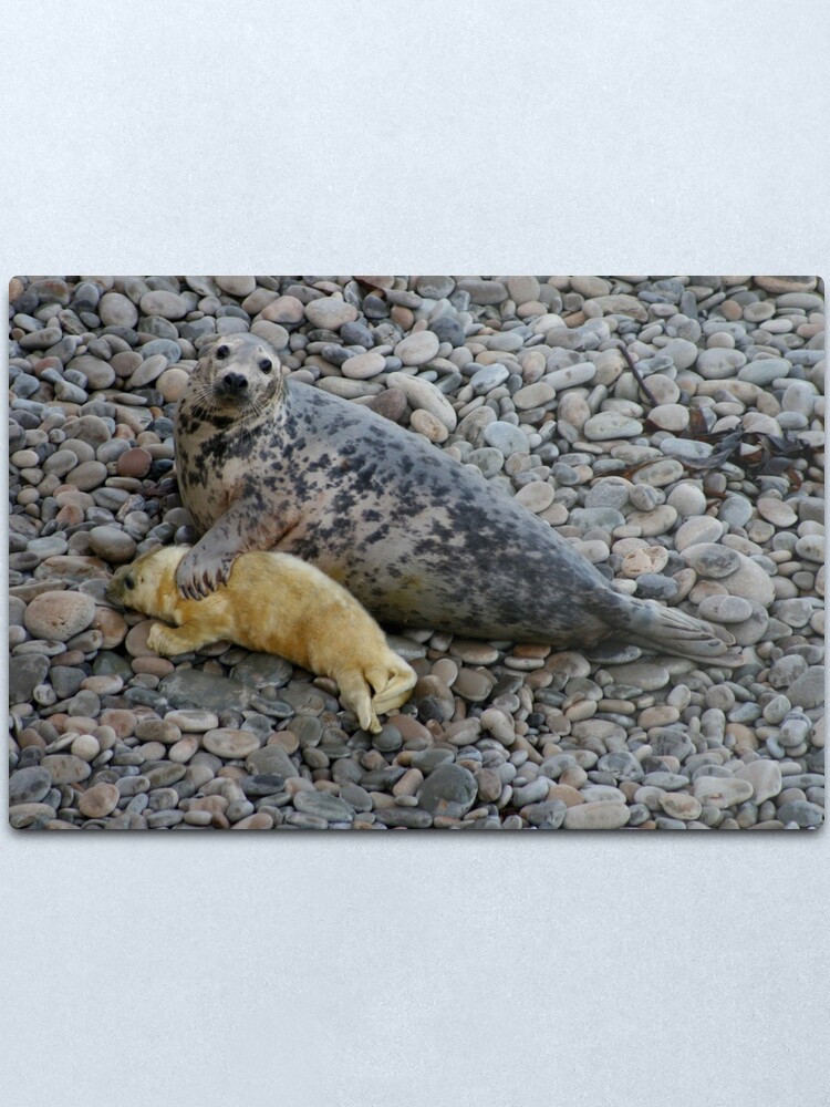 Alternate view of Mother Love II Metal Print
