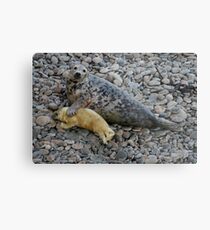 Mother Love II Metal Print
