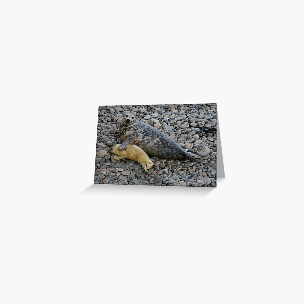 Mother Love II Greeting Card