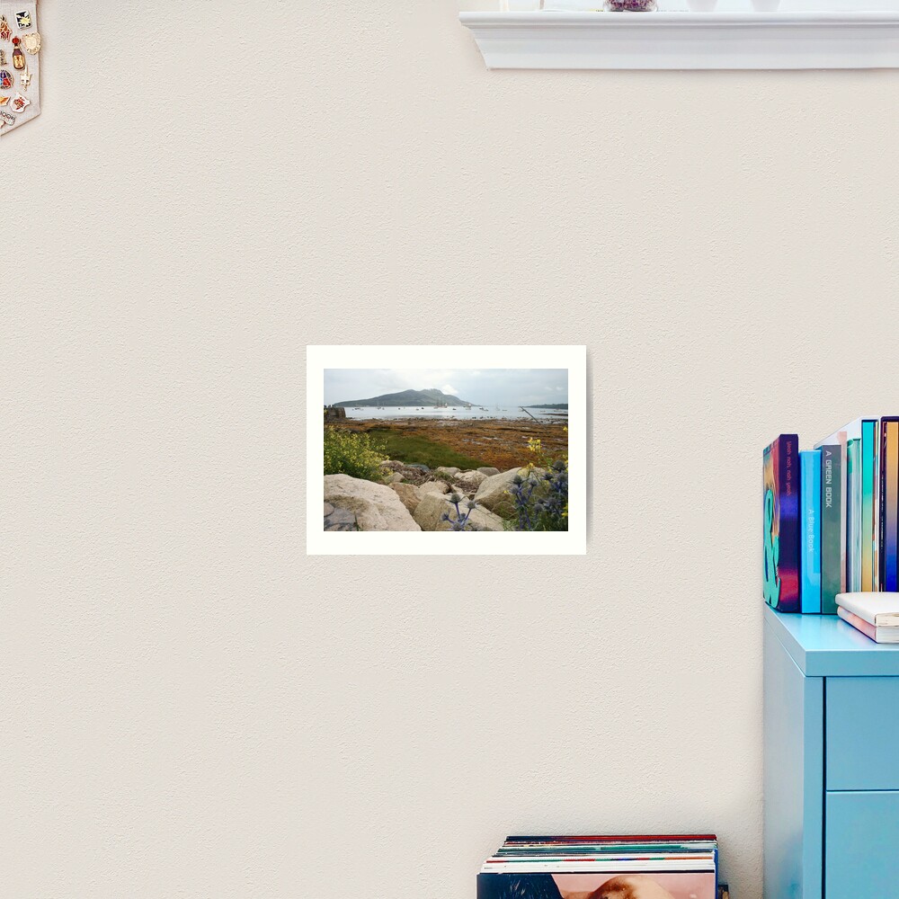 Busy bay Art Print