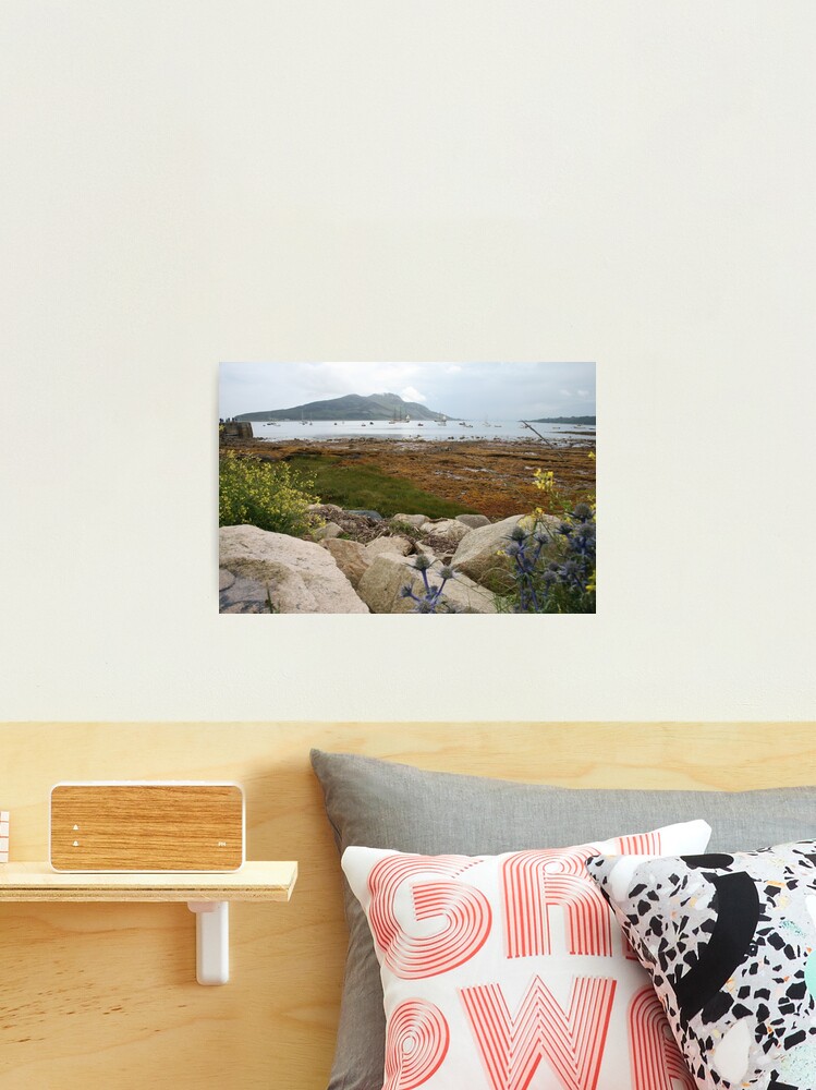 Thumbnail 2 of 3, Photographic Print, Busy bay designed and sold by orcadia.