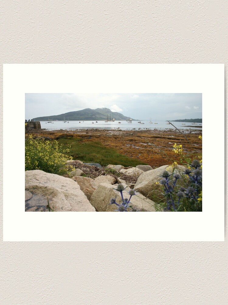 Thumbnail 1 of 3, Art Print, Busy bay designed and sold by orcadia.