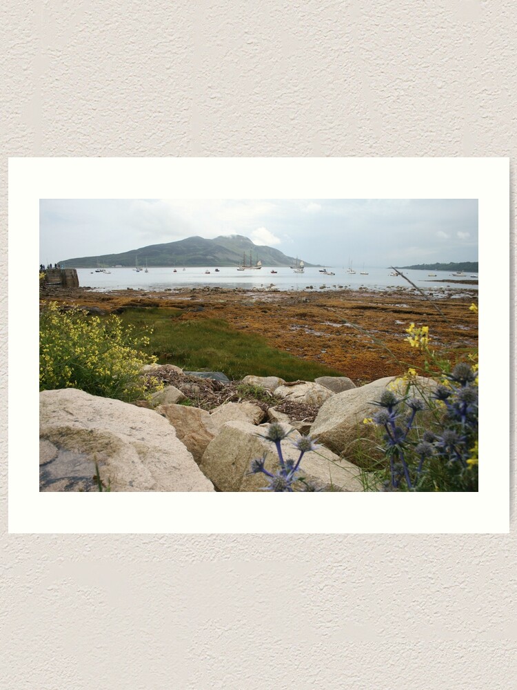 Alternate view of Busy bay Art Print