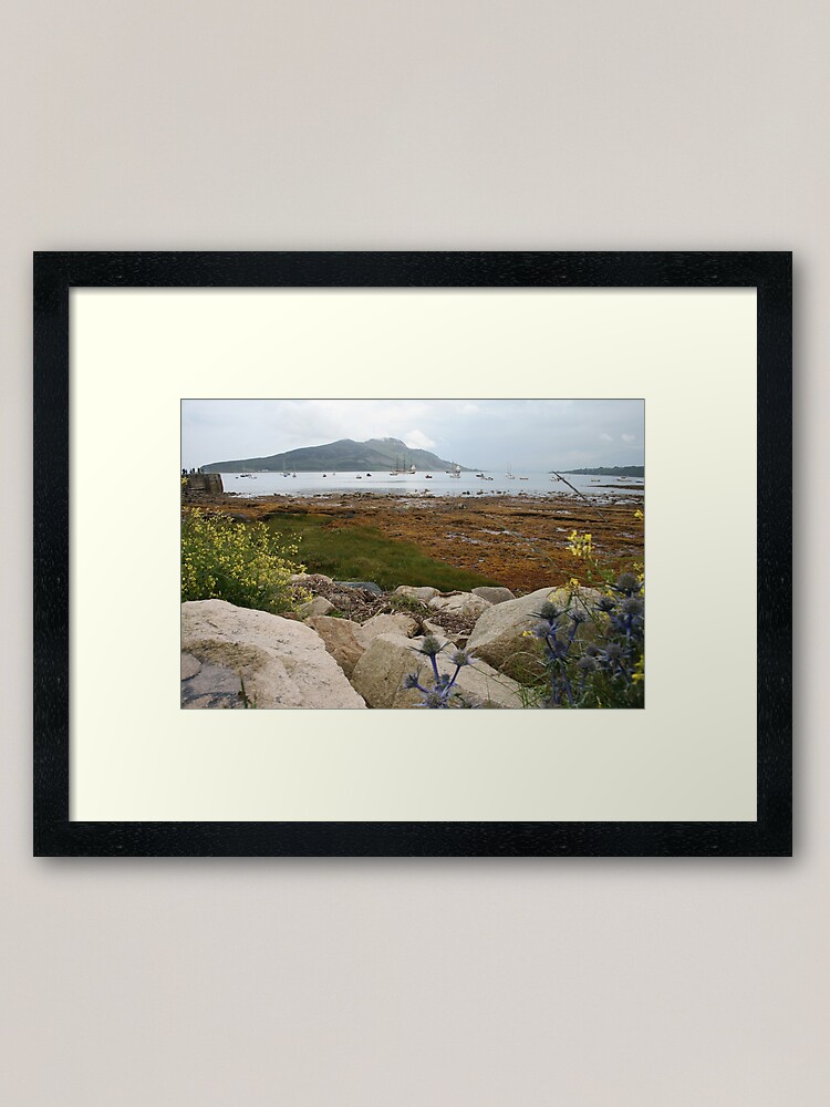 Alternate view of Busy bay Framed Art Print