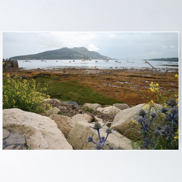 Item preview, Busy bay designed and sold by Fiona MacNab.