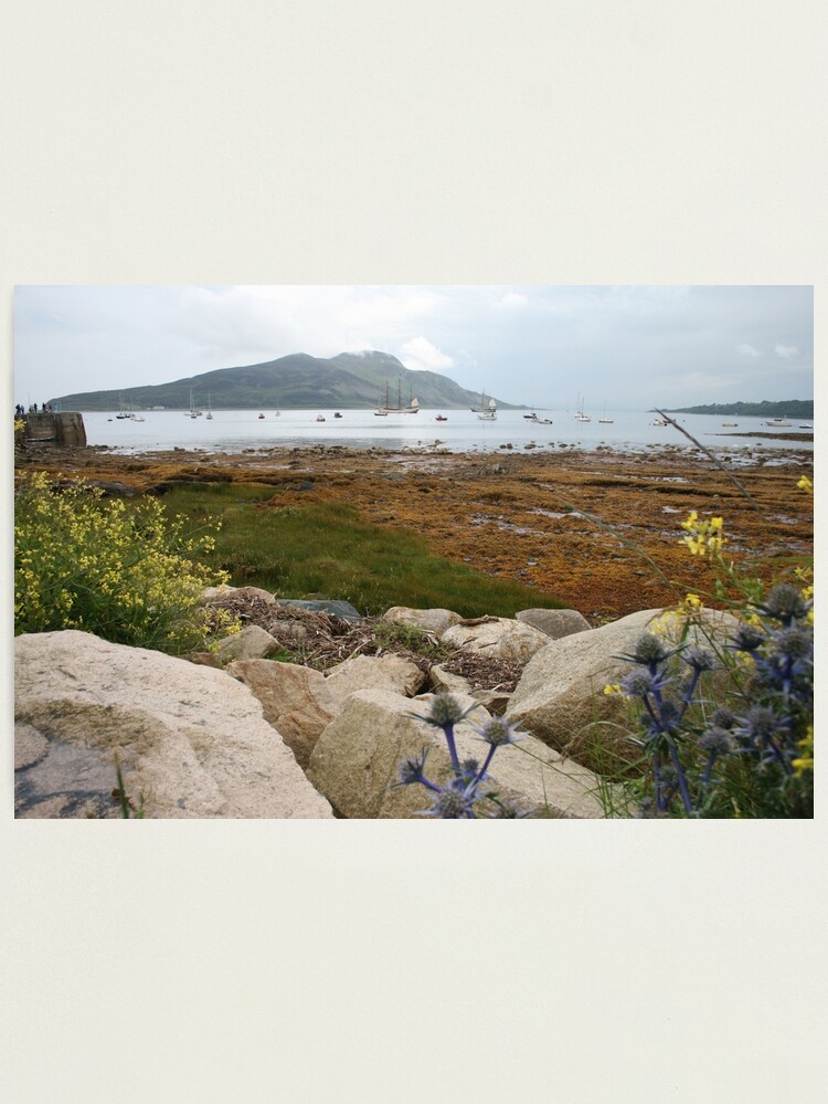 Thumbnail 1 of 3, Photographic Print, Busy bay designed and sold by orcadia.