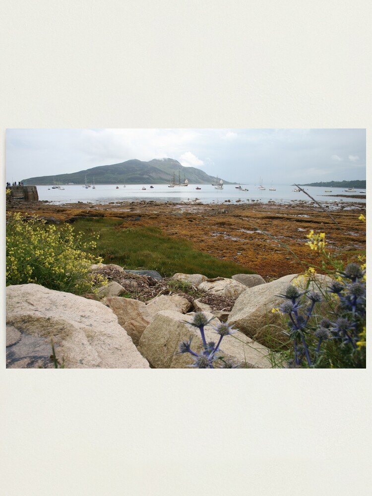 Alternate view of Busy bay Photographic Print