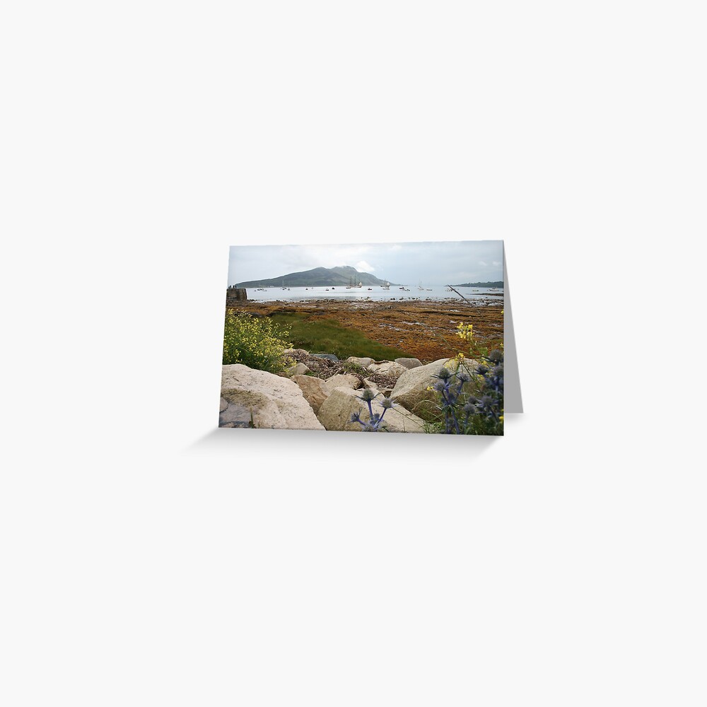 Busy bay Greeting Card