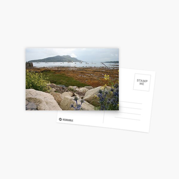 Busy bay Postcard
