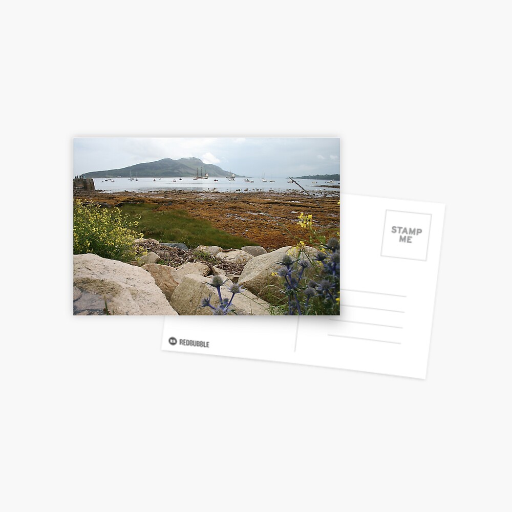 Busy bay Postcard
