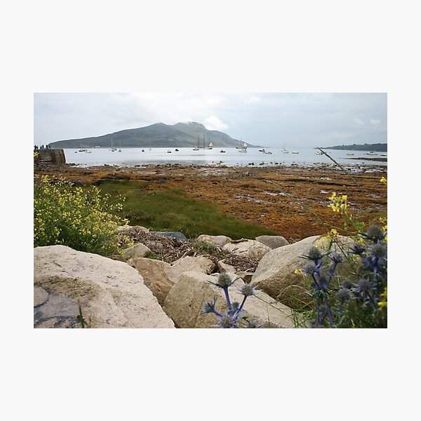 Item preview, Busy bay designed and sold by Fiona MacNab.