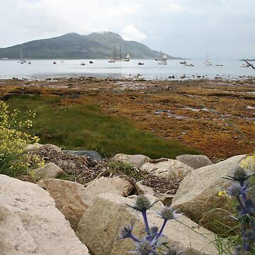 Artwork thumbnail, Busy bay by Fiona MacNab