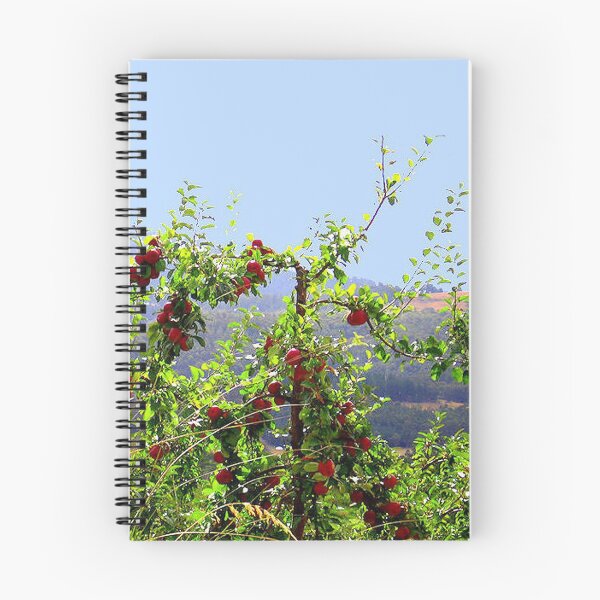 Artikelvorschau, Apfelbaum entworfen und verkauft von Margaret Stevens.