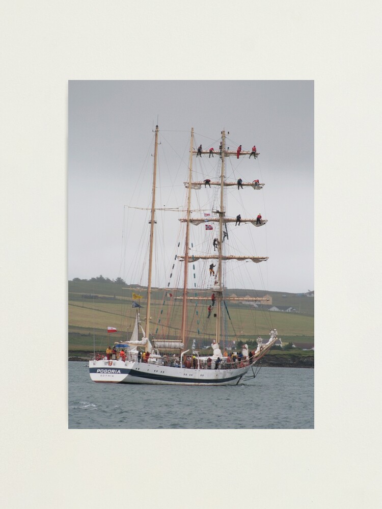 Thumbnail 1 of 3, Photographic Print, Pogoria designed and sold by orcadia.