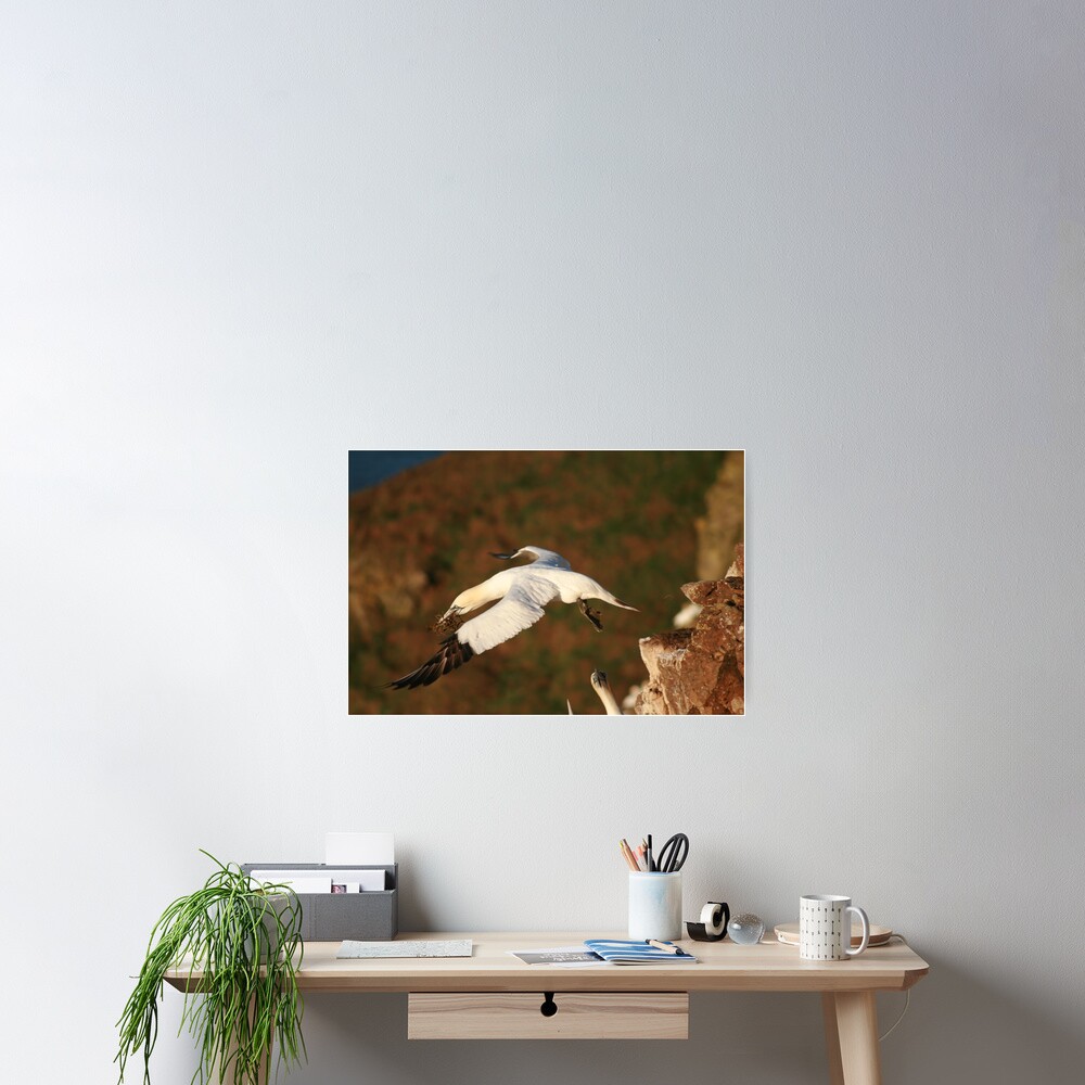 Lift off Poster