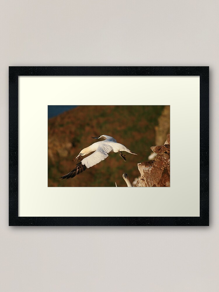Alternate view of Lift off Framed Art Print