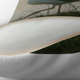 Alternate view of Pacing Throw Pillow