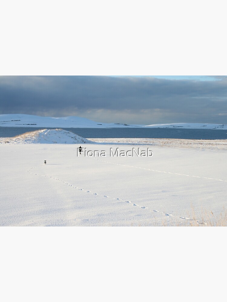 One Man And His Dog by orcadia