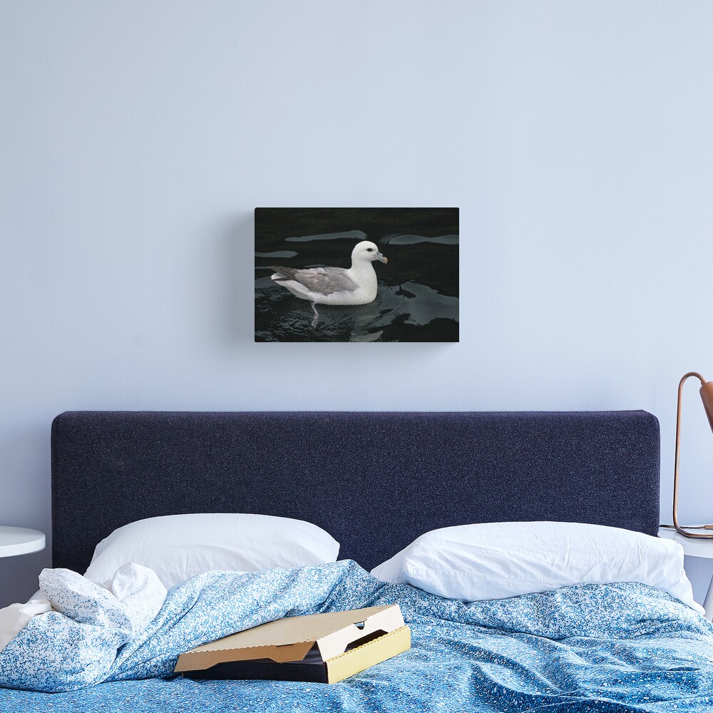 All at sea Canvas Print