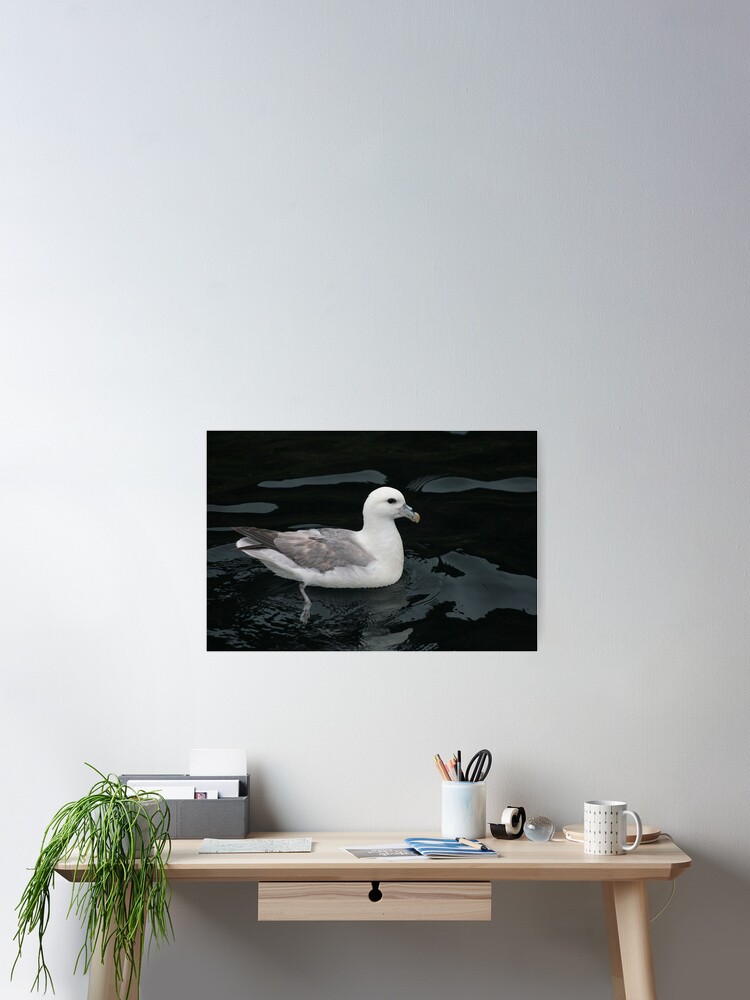 Thumbnail 2 of 3, Poster, All at sea designed and sold by orcadia.