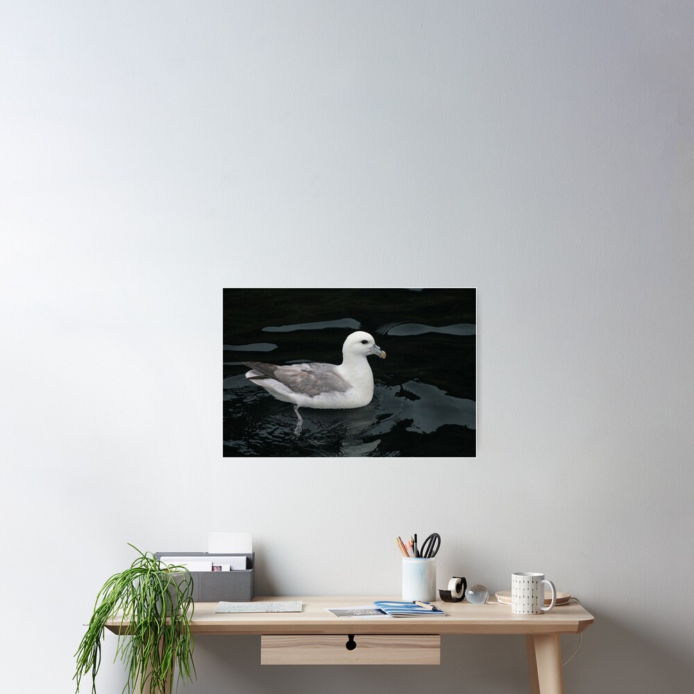 All at sea Poster