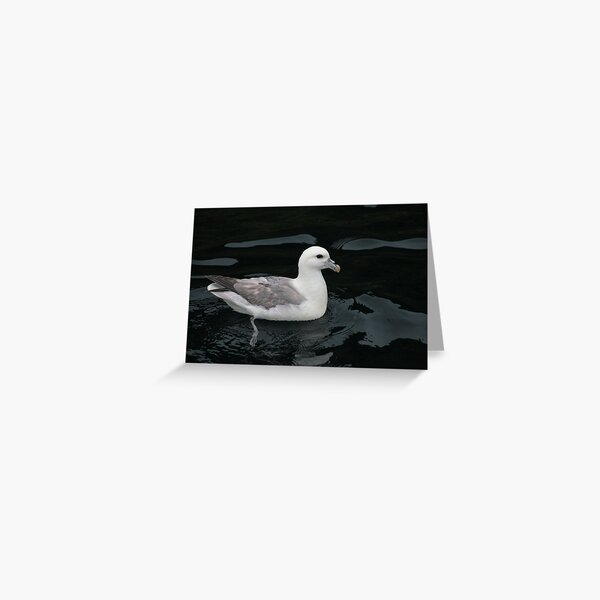 Item preview, All at sea designed and sold by Fiona MacNab.