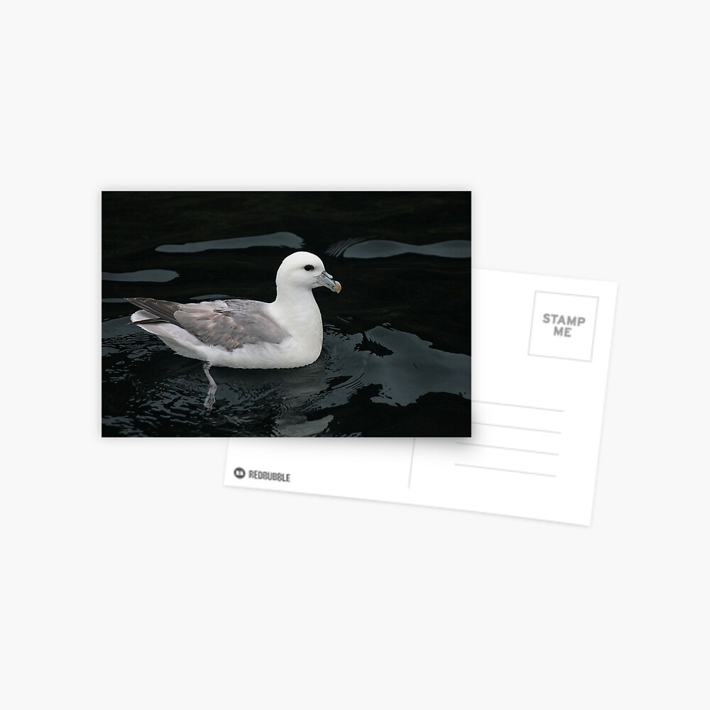 Item preview, Postcard designed and sold by orcadia.