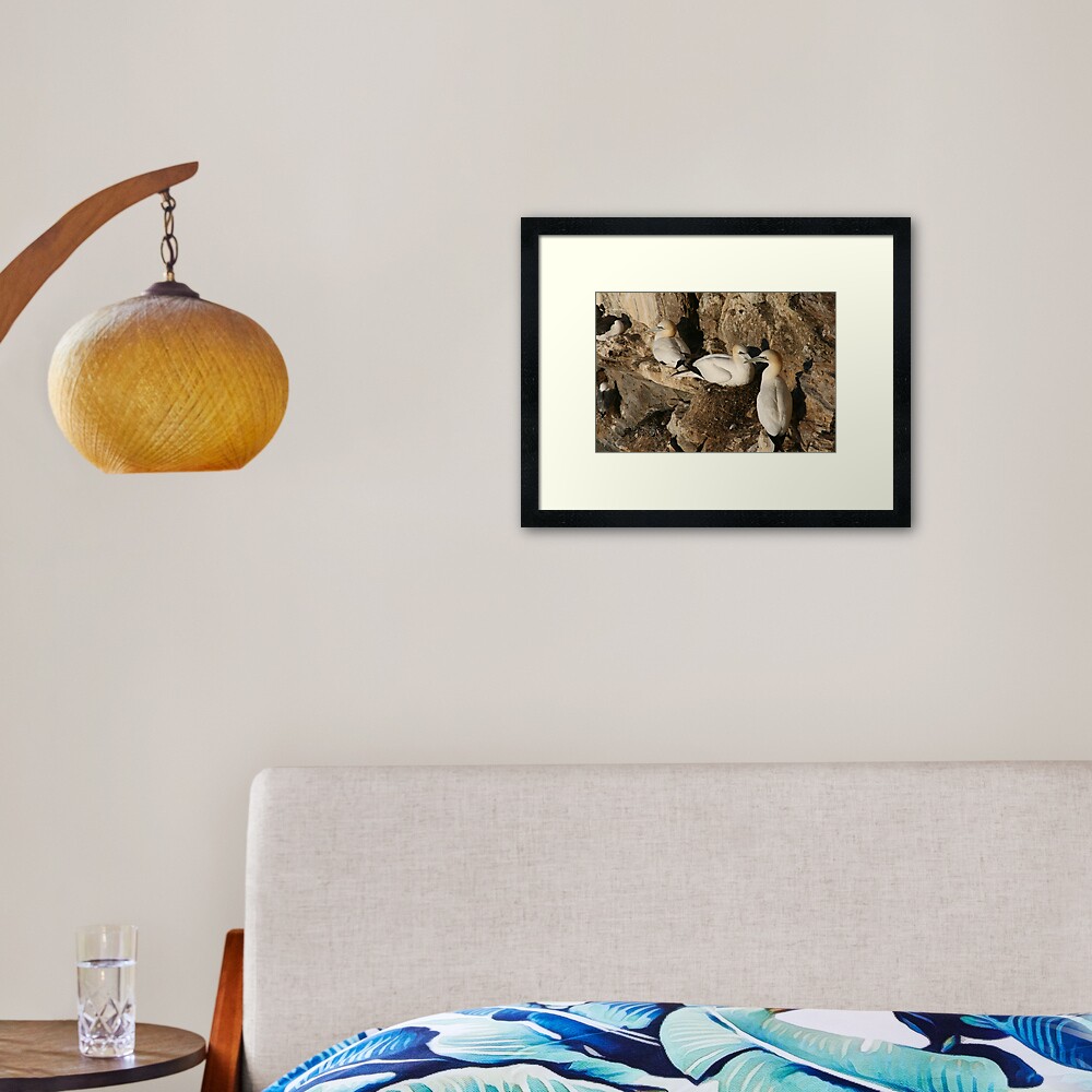 Nesting Framed Art Print