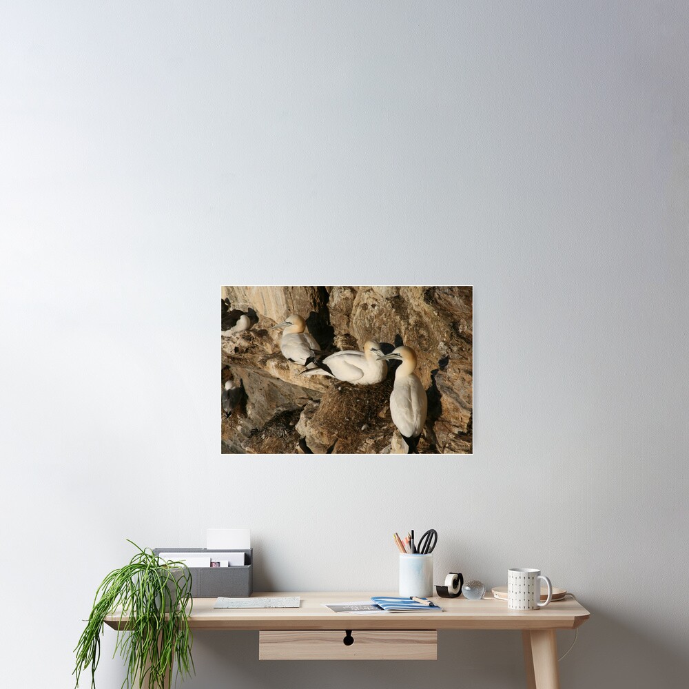 Nesting Poster