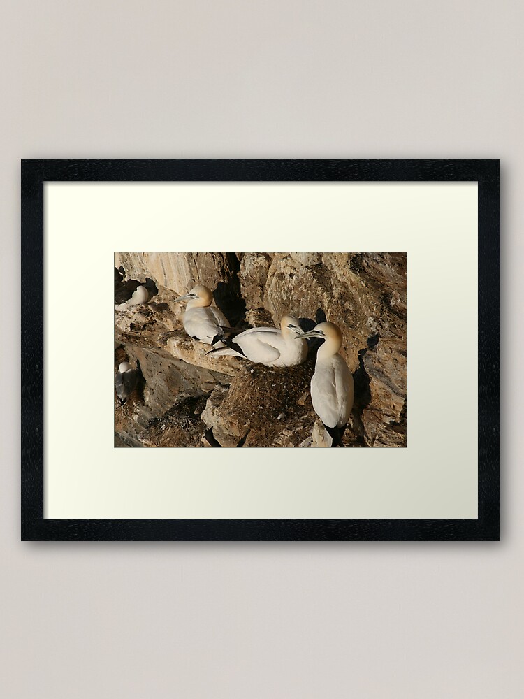 Alternate view of Nesting Framed Art Print