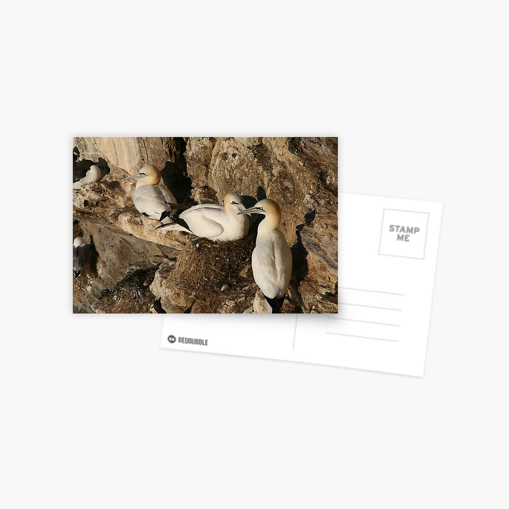 Item preview, Postcard designed and sold by orcadia.