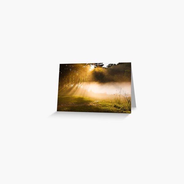 On a Beam of Light 2 Greeting Card
