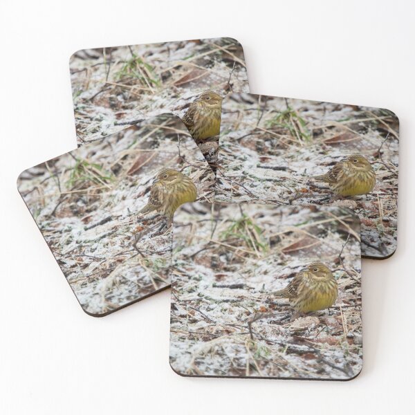 Item preview, Cold morning. Yellowhammer designed and sold by Jouko Lehto Photography.