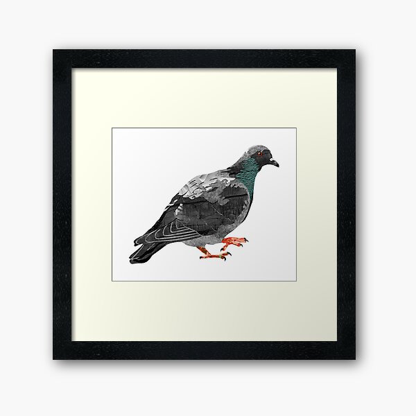 Dove - Laudea Martin Framed Art Print