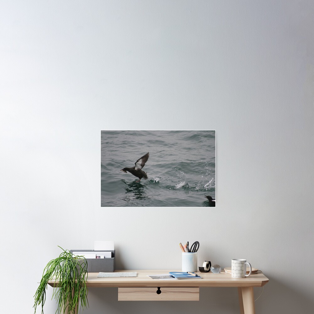 Fish for tea Poster