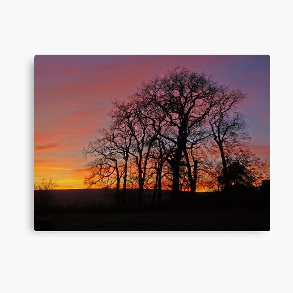 Sunset silhouette Canvas Print