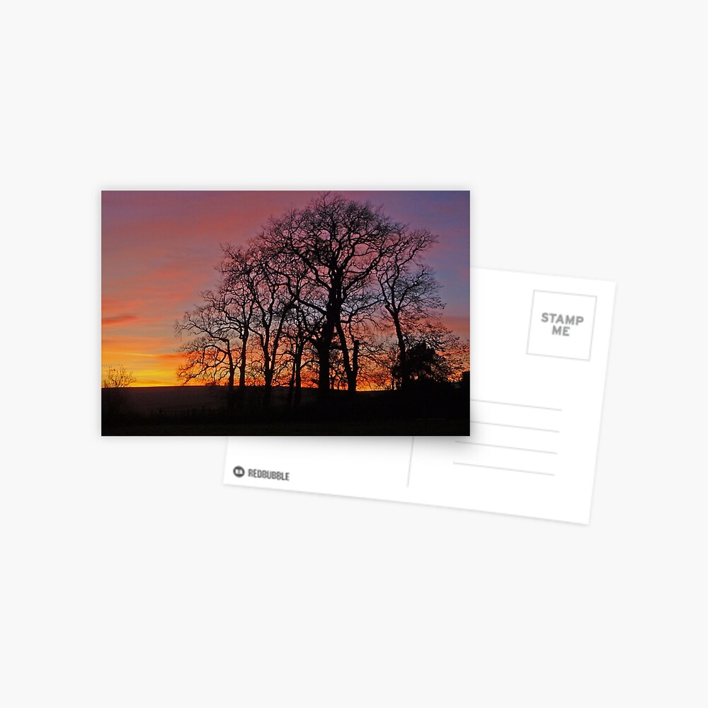 Sunset silhouette Postcard