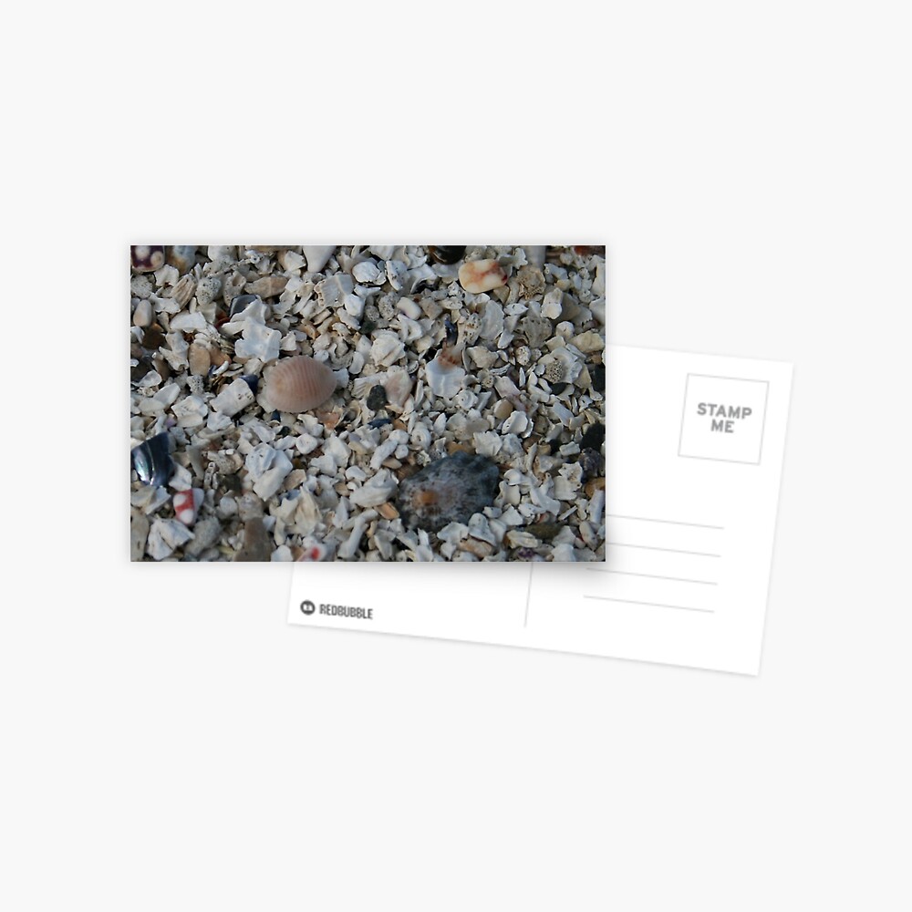 Groatie Buckie Postcard